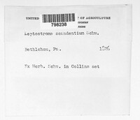 Image Associated With the Occurrence